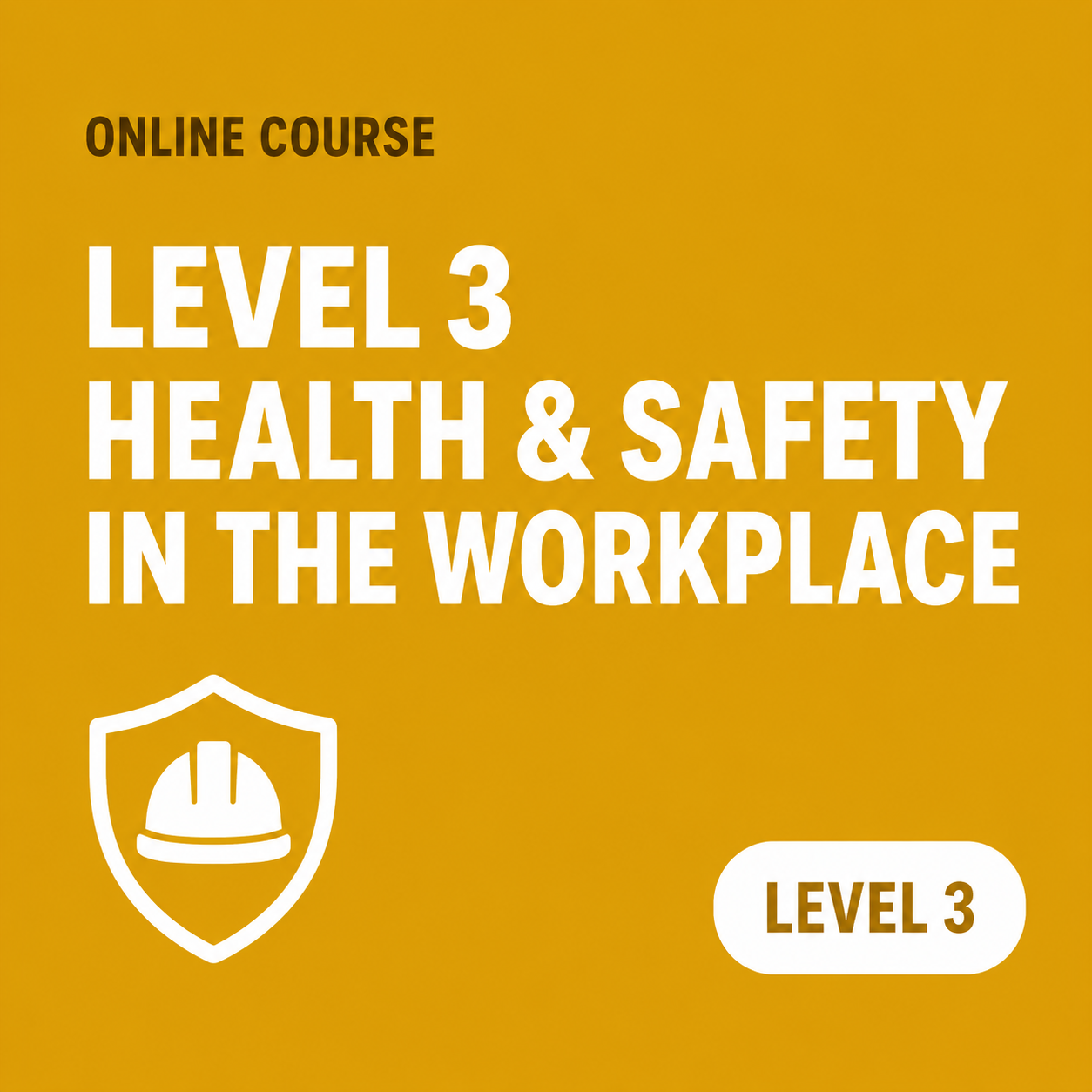 Level 3 Health & Safety in the Workplace
