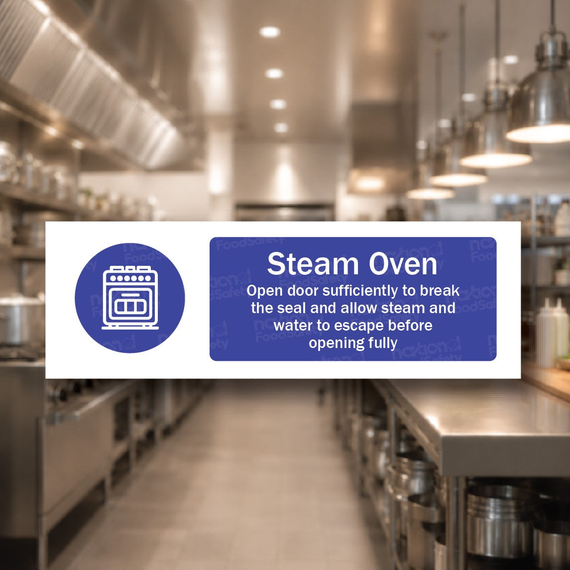 Steam Oven